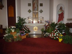 Holy Thursday - Garden of Gethsemane